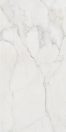 KLS61291鱼肚白定制